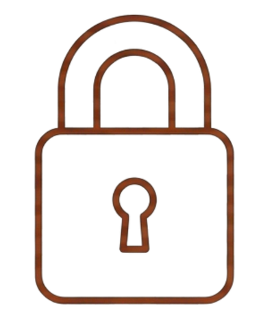100% secure payment